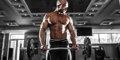 Building Muscle A Comprehensive Guide
